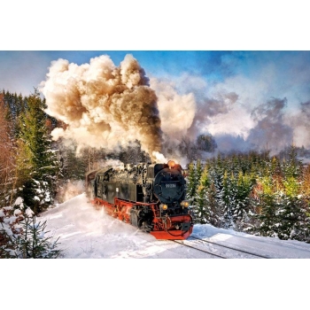 Puzzle 1000 el. Steam Train Casorland